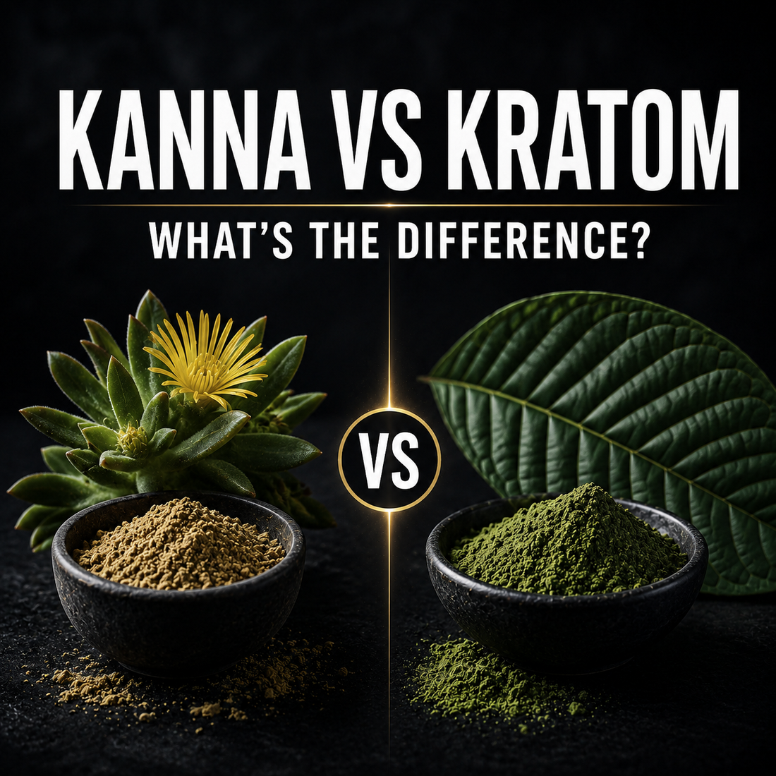 Kanna vs Kratom: What's The Difference Between Kanna & Kratom?