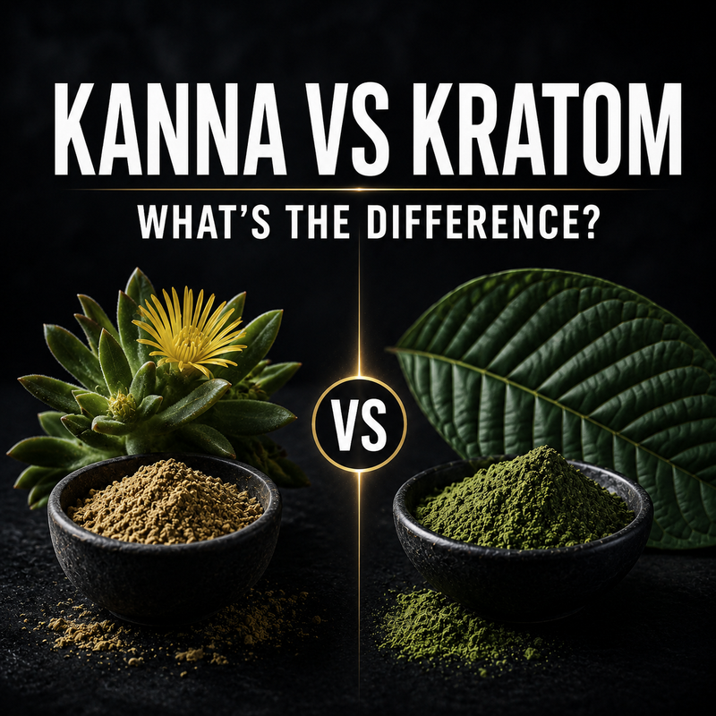 Kanna vs Kratom: What's The Difference Between Kanna & Kratom?