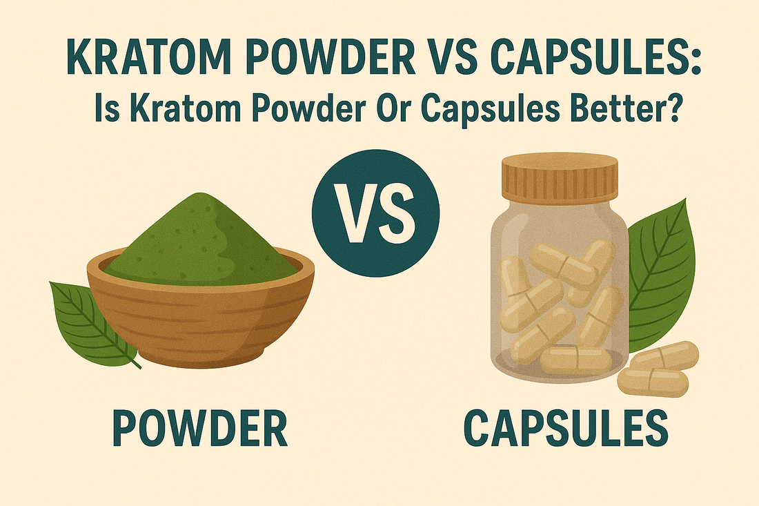 Kratom Powder vs Capsules: Is Kratom Powder Or Capsules Better?